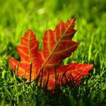 Hygienic Finishing Systems discuss Autumn Projects 2018